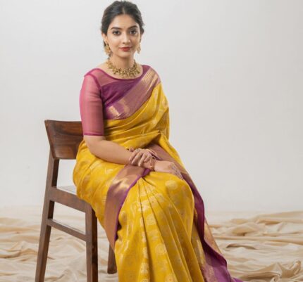 Embroidered Woven Silk Lehenga